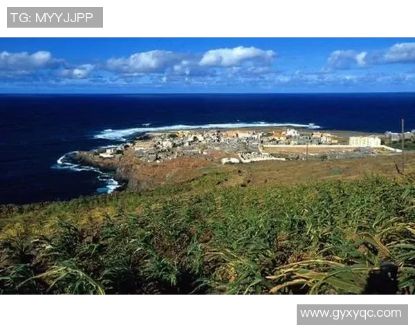 佛得角与南非tc体育对决分析及赛事前瞻探讨