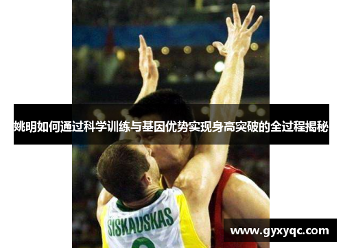 姚明如何通过科学训练与基因优势实现身高突破的全过程揭秘
