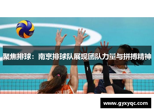 聚焦排球：南京排球队展现团队力量与拼搏精神