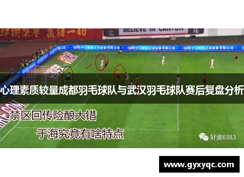 心理素质较量成都羽毛球队与武汉羽毛球队赛后复盘分析