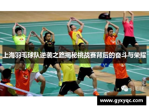 上海羽毛球队逆袭之路揭秘挑战赛背后的奋斗与荣耀