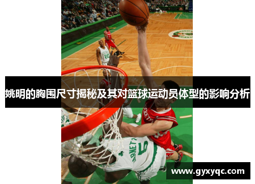 姚明的胸围尺寸揭秘及其对篮球运动员体型的影响分析