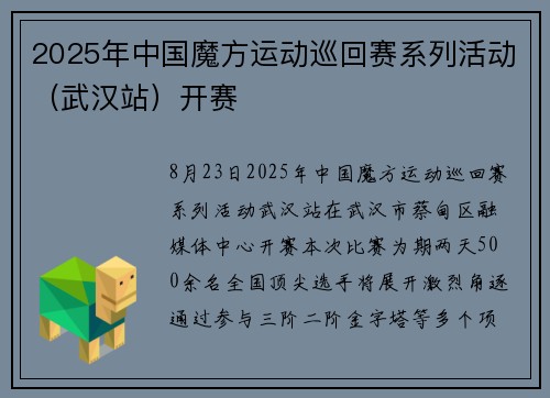 2025年中国魔方运动巡回赛系列活动（武汉站）开赛